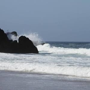 Meet your Posher, Dee dee